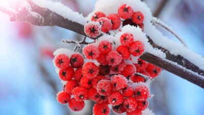 Какая погода будет в ноябре, рассказали в "Казгидромете"