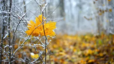 Прогноз погоды на 4 октября: ночные заморозки ожидаются почти на всей территории Казахстана