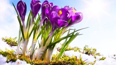 "Казгидромет": По-настоящему весенняя погода придёт в конце марта – начале апреля