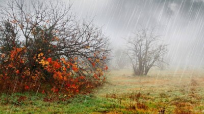 Прогноз погоды на 21 октября: похолодание, осадки и усиление ветра ожидаются во многих регионах Казахстана