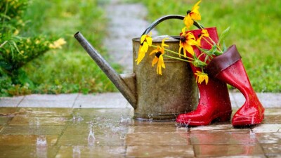 Прогноз погоды на 31 августа: на юге и востоке Казахстана ожидаются дождь, гроза, местами град