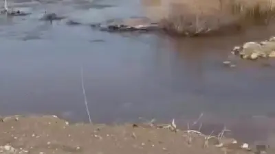 Дорогу закрыли в Костанайской области из-за половодья