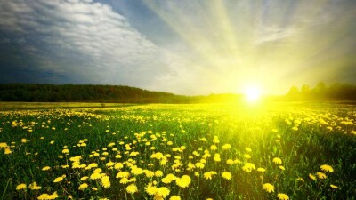 Жара до 35-40 градусов ожидается в конце мая – "Казгидромет" выпустил прогноз на месяц