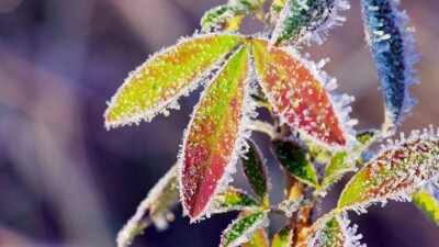 Прогноз погоды на 3 октября: на юге вновь ожидаются ночные заморозки, на севере и востоке – гололёд