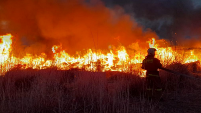 Против сельских акиматов Павлодарской области подали иски из-за лесных пожаров