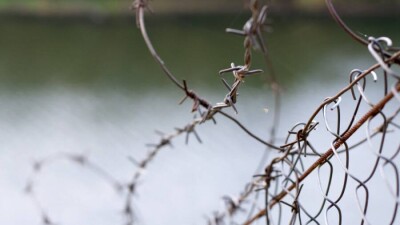 Талибы освободили из тюрем более тысячи заключённых