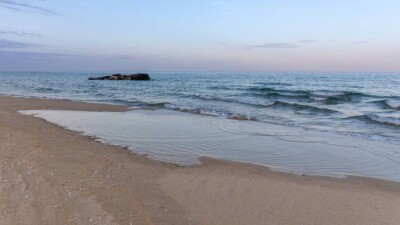 Видео с мёртвой кефалью на Каспии: обнаружили место массовой гибели рыб