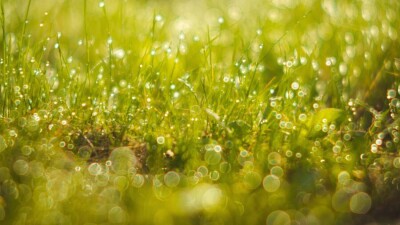 Прогноз погоды на 19 июня: на большей части Казахстана ожидается дождь, на севере – понижение температуры