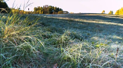 Прогноз погоды на 5 июня: на севере Казахстана ожидаются ночные заморозки