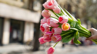 "Цветочного" мошенника задержали в Алматы