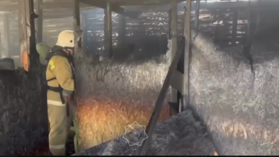 Комната страха сгорела в центральном парке Кызылорды