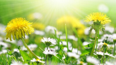 Прогноз погоды на 3 июня: сильная жара сохраняется почти по всему Казахстану