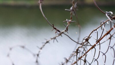 Чехия поможет Литве деньгами для строительства забора на границе с Беларусью