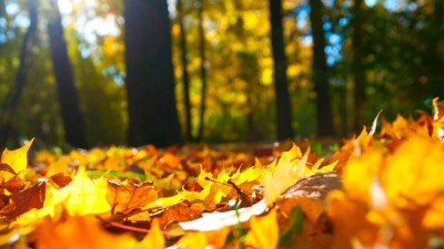 Прогноз погоды на 5 октября: на юге пока ещё сохраняется тепло