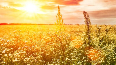 Прогноз погоды на 17 июня: жарко и сухо будет на большей части Казахстана