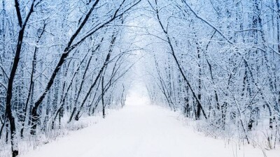 Прогноз погоды на 16 декабря: снег ожидается на севере и востоке Казахстана