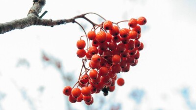 Прогноз погоды на 28 января: осадков не ожидается на большей части Казахстана