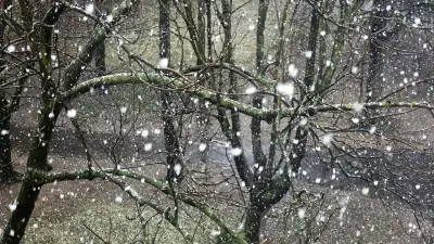 Прогноз погоды на 5 марта: осадки и усиление ветра ожидаются на всей территории Казахстана, кроме востока