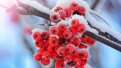 Прогноз погоды на 5 января: морозы на севере Казахстана отступили, но ненадолго