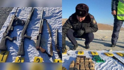 Ящик с патронами и боевые гранаты обнаружили в Конаеве в лесополосе