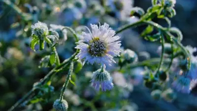 Прогноз погоды на 11 сентября: град ожидается на востоке Казахстана