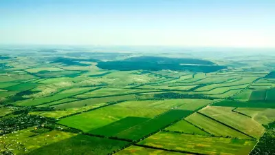 Неэффективно использовалась: землю на 100 млн тенге вернули в госсобственность в Алакольском районе