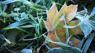 Прогноз погоды на 13 сентября: ночные заморозки ожидаются в двух регионах Казахстана
