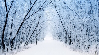 Прогноз погоды на 8 декабря: в Алматы ожидается снег