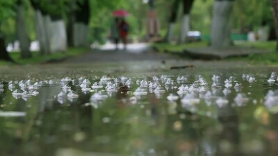 Прогноз погоды на 19 июня: дождь, гроза и усиление ветра ожидаются на большей части Казахстана