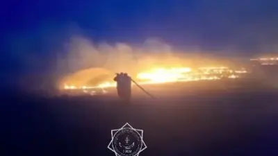 Масштабный пожар тушат возле села в Акмолинской области