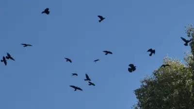 Прогноз погоды на 2 сентября: сильная жара ожидается на западе, дожди – на востоке 