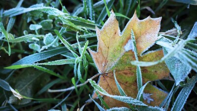 Прогноз погоды на 14 сентября: заморозки сохраняются на большей части Казахстана