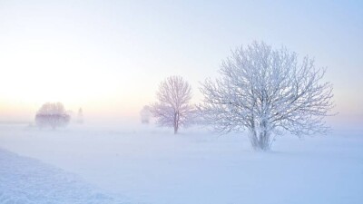 Прогноз погоды на 12 января: туман ожидается на юге и западе Казахстана