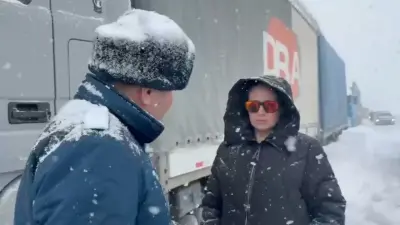 Беременная дальнобойщица застряла на заметённой трассе в Жамбылской области