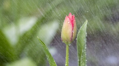 Прогноз погоды на 19 мая: дожди и грозы ожидаются на большей части Казахстана