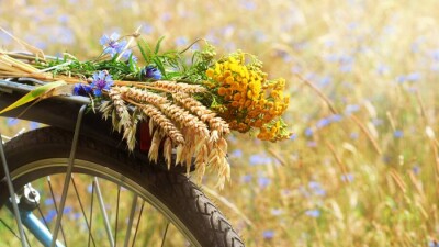 Прогноз погоды на 16 сентября: жара ожидается на юге Казахстана, дожди – на севере