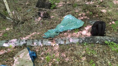 В Костанайской области при задержании подозреваемого в убийстве полиция применила табельное оружие 