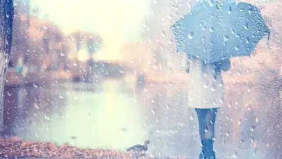 Прогноз погоды на 26 ноября: сильный ветер, туман и гололёд ожидаются на севере и востоке страны