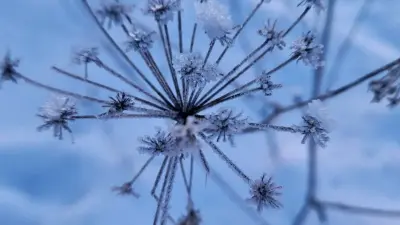 Прогноз погоды на 20 февраля: резкое похолодание ожидается на севере, востоке и в центре страны