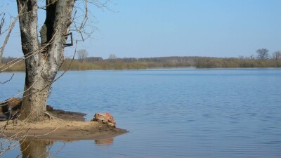 Откуда идёт вода. Минводы Казахстана ответило на обвинения полпреда президента России