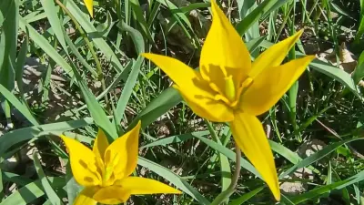 Прогноз погоды на 14 апреля: ночные морозы ожидаются на севере страны, на юге днём до +30