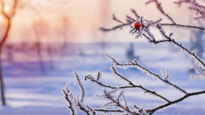 Прогноз погоды на 22 января: резкое похолодание и шквальный ветер ожидаются в большинстве регионов страны