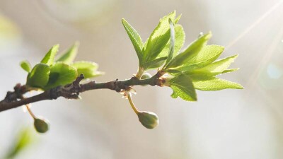 Прогноз погоды на 15 апреля: очень тепло и сухо будет на большей части Казахстана