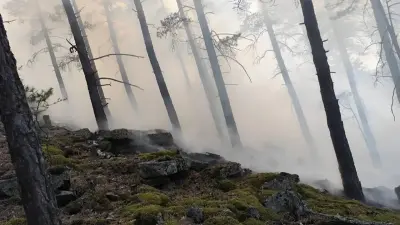 Два пожара произошли в нацпарке 