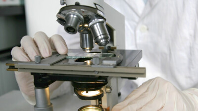 Новую мутацию коронавируса выявили в Норвегии