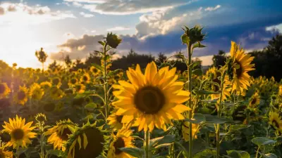 Прогноз погоды на 13 августа: сильная жара сохраняется на юге Казахстана, на остальной части – дожди с грозами