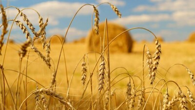 Прогноз погоды на 15 сентября: тепло и сухо будет на большей части Казахстана