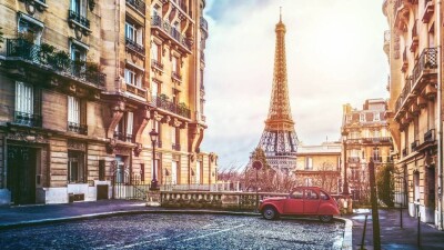 Правительство Франции обсудит проблему распространения постельных клопов в стране