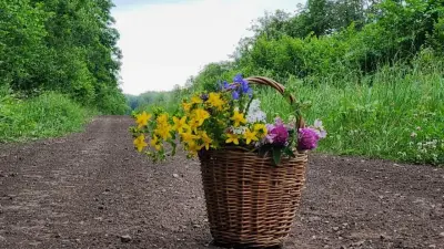 Прогноз погоды на 5 июля: температура значительно снизится на севере Казахстана