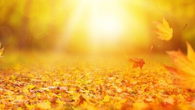 Прогноз погоды на 28 сентября: сухо и тепло будет на большей части Казахстана